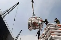 سفره ایرانی‌ها در قبضه هندی‌ها؛ بازی برد-برد برنج خارجی در معرکه قیمت‌ها