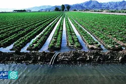 صادرات میلیاردها لیتر آب به عمان و امارات