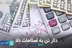 دلار تن به اصلاحات داد   