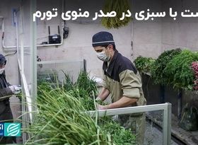 گوشت با سبزی در صدر منوی تورم 