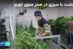 گوشت با سبزی در صدر منوی تورم 