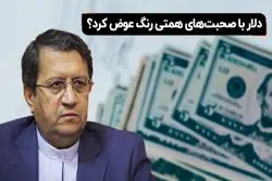 دلار با صحبت‌های همتی رنگ عوض کرد؟ 