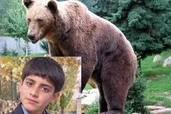 تراژدی در کوه‌های جیرفت؛ نوجوان ۱۴ ساله قربانی حمله خرس شد
