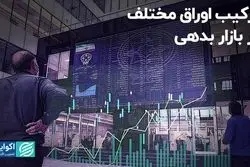 ترکیب اوراق مختلف در بازار بدهی