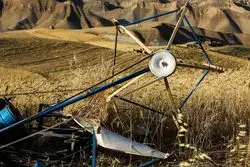 فوری/ قیمت گندم تا این تاریخ مشخص می شود