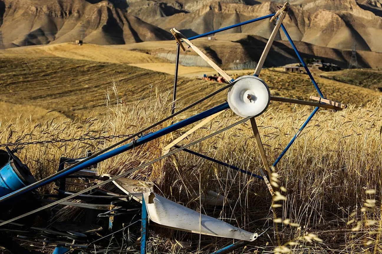 حساب گندمکاران شارژ شد