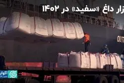 بازار داغ نماد 