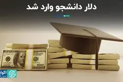 دلار دانشجو وارد شد