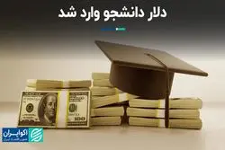 دلار دانشجو وارد شد