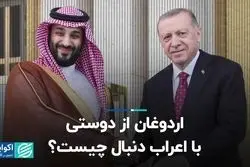 اردوغان از دوستى با اعراب دنبال چیست؟