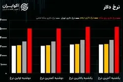 سرنخ هایی از متهم اصلی تلاطم در بازار ارز و سکه