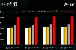 سرنخ هایی از متهم اصلی تلاطم در بازار ارز و سکه
