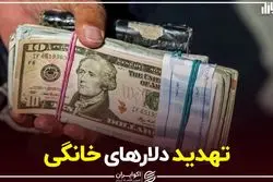 تهدید دلارهای خانگی