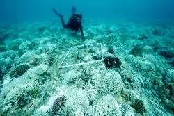 اعماق اقیانوس، میدان جدید قدرت هند