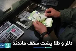 دلار و طلا پشت سقف ماندند