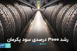  رشد 3000 درصدی سود پکرمان