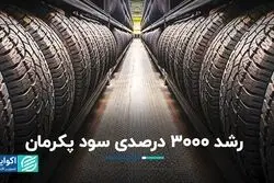  رشد 3000 درصدی سود پکرمان
