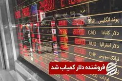 فروشنده دلار کمیاب شد