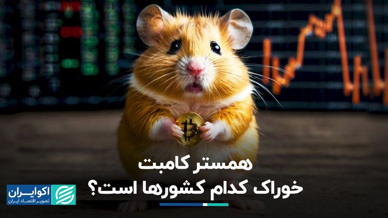 الگوی تکراری، این بار همستر کامبت‌