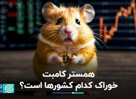 الگوی تکراری، این بار همستر کامبت‌