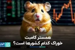 الگوی تکراری، این بار همستر کامبت‌
