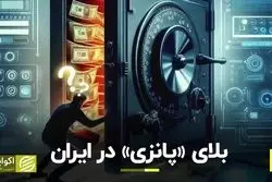 «پانزی» در ایران چقدر قربانی گرفت؟