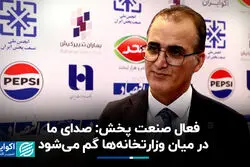 فعال صنعت پخش: صدای ما در میان وزارتخانه‌ها گم می‌شود