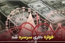 فواره دلاری سرسره شد