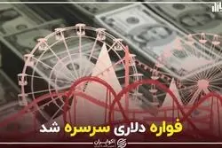 فواره دلاری سرسره شد