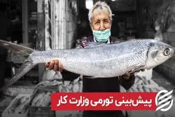 پیش‌بینی تورمی وزارت کار