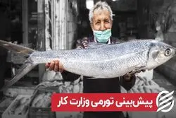 پیش‌بینی تورمی وزارت کار