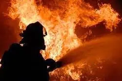 مهار آتش در باغ سپه‌سالار