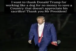 ترامپ: مثل سگ بدون هیچ دستمزدی جان کندم!