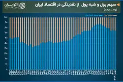 رد پای انتظارات تورمی ایرانیان در آمارهای پولی