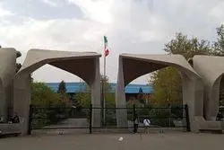 رئیس دانشگاه تهران: نگرانیم مشابه حادثه انفجار کپسول گاز در جای دیگری تکرار شود