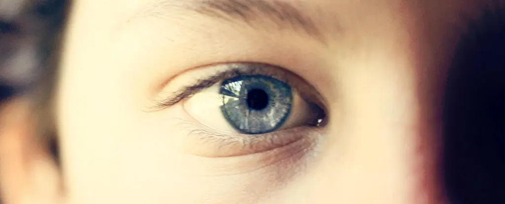 تشخیص اوتیسم با هوش مصنوعی