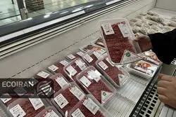 واردات گوشت گرم و منجمد استارت خورد/ گوشت ارزان می شود؟
