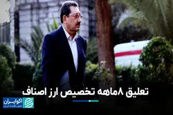 تعلیق ۸ ماهه تخصیص ارز اصناف