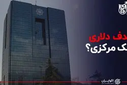 هدف دلاری بانک مرکزی