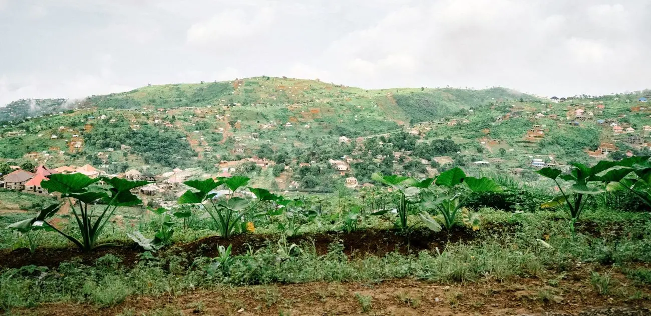 درخواست سفیر جدید سیرالئون از ایران 