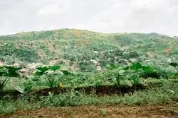 درخواست سفیر جدید سیرالئون از ایران 