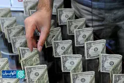 رفت و برگشت دلار به نرخ عید 