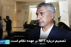 تصمیم درباره NPT بر عهده نظام است