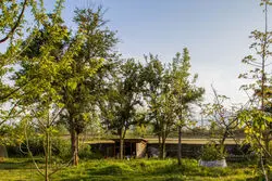 میهمان تازه ویلاهای شمال کشور؛ اجاره نجومی ویلاهای استخردار