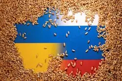 شرط پوتین برای آزادسازی صادرات غلات اوکراین