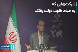 شرکت‌هایی که به حیاط خلوت دولت رفتند
