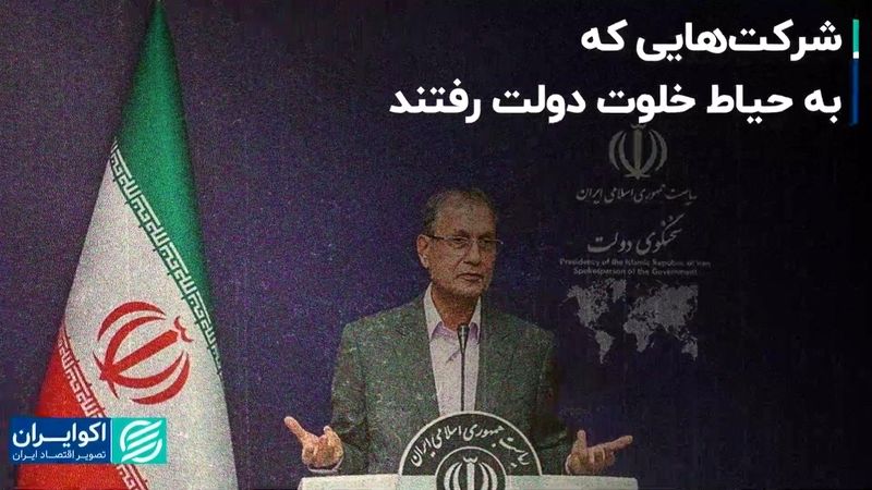 شرکت‌هایی که به حیاط خلوت دولت رفتند