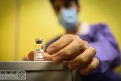 واقعیت ماجرای واردات واکسن کرونا به ایران/ پشت پرده ادعای واکسنی قاضی‌زاده هاشمی