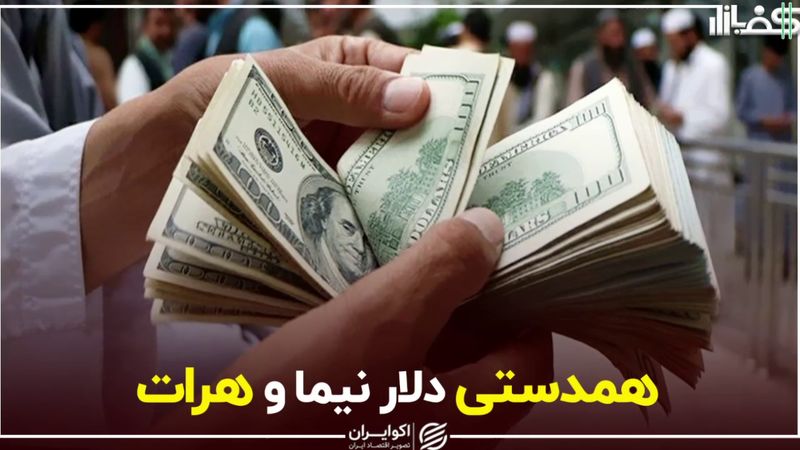 همدستی دلار هرات و نیما