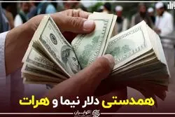 همدستی دلار هرات و نیما